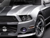 3-2010-eleanor-ford-mustang