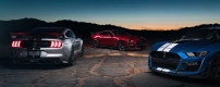2020-Ford-Mustang-Shelby-GT500-25.jpg