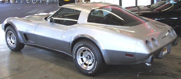 Chevrolet Corvette 19681982 C3 The Mako Shark