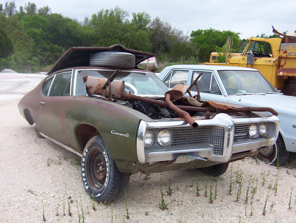 Junkyard Beauties