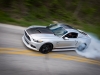 MMD by Foose Burnout Composite.JPG