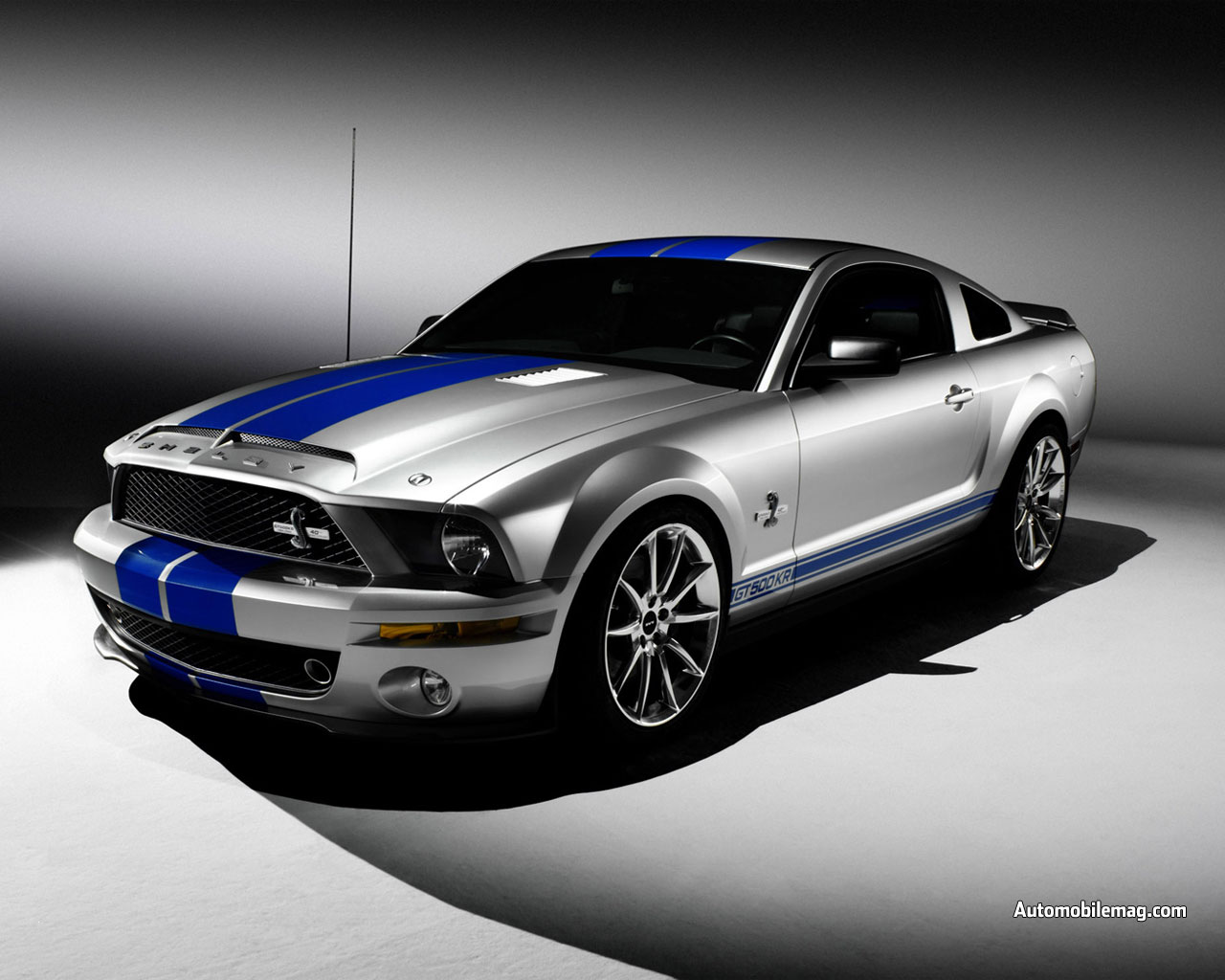Mustang Shelby GT 19652011