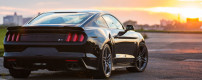 2015 Roush Mustang: new details and gallery.