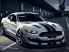 2016-ford-shelby-gt350s-race-car.jpg