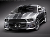2-2010-eleanor-ford-mustang