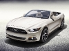 One-off 50 Year Limited Edition Mustang