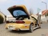 gold-plated-2002-pontiac-trans-am