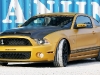shelby-gt640-golden-snake-geigercars-03