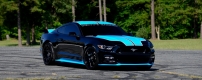 2015-Pettys-Garage-King-Premier-Ford-Mustang-GT-Fastback-4.jpeg
